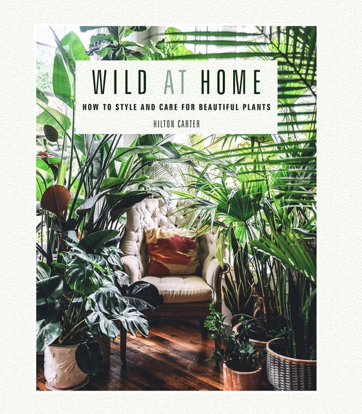 Wild At Home: How To Style And Care For Beautiful Plants by Hilton Carter