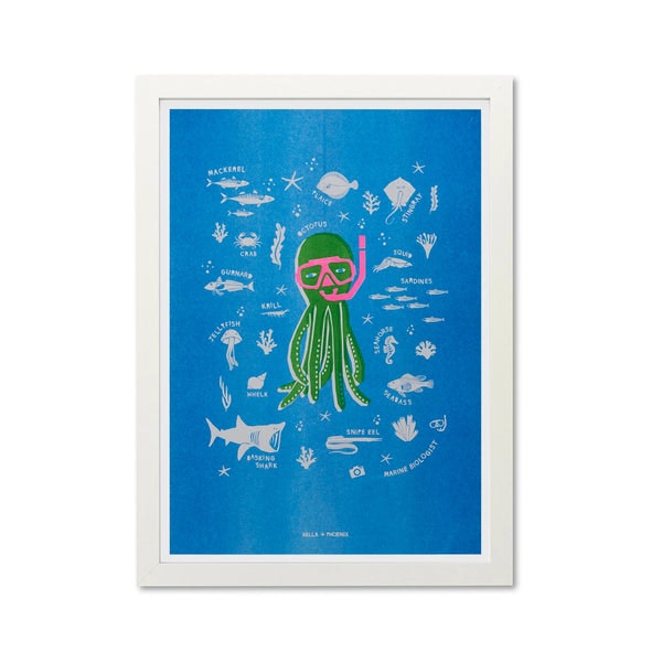 Guide To British Sea Life A3 Print by Bella + Phoenix