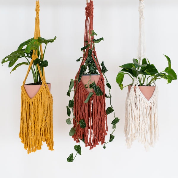 Deluxe Fringed Macramé Plant Hanger Craft Kit by Stitch Happy