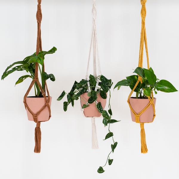 Macramé Plant Hanger Craft Kit by Stitch Happy