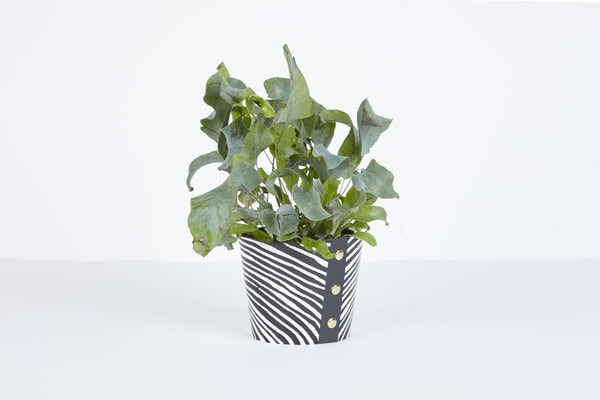 Plant Pot Cover - Wood Medium by Studio Wald