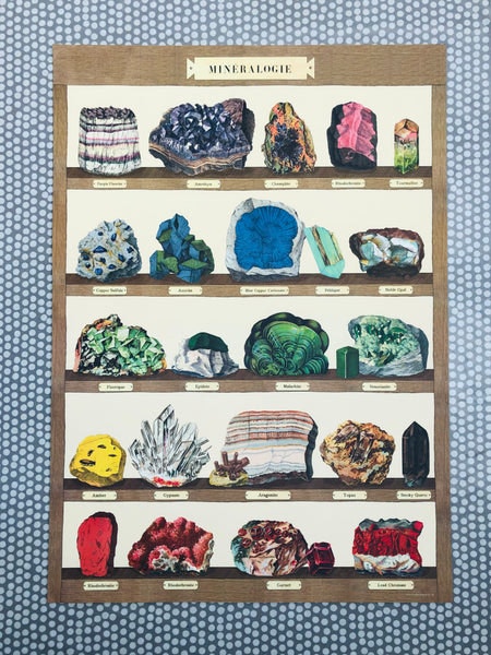 Mineralogie Shelves Poster by Cavallini & Co