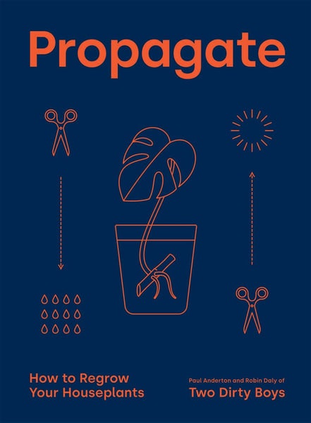 Propagate: How To Regrow Your Houseplants by Beldi Maison