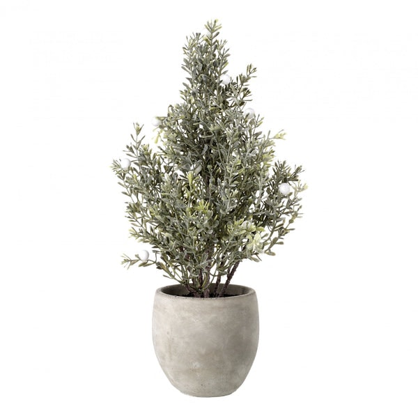 Artificial Potted Pine Tree With White Berries by Parlane