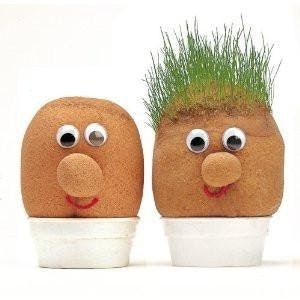 Mr Grass Head by Keycraft