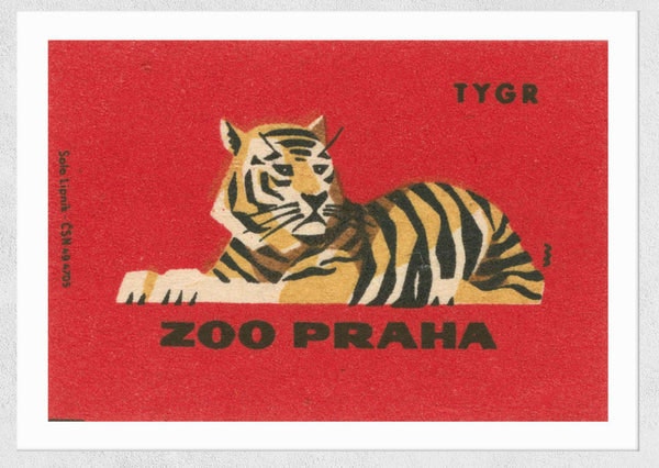 Tiger Matchbox A3 Print by East End Prints