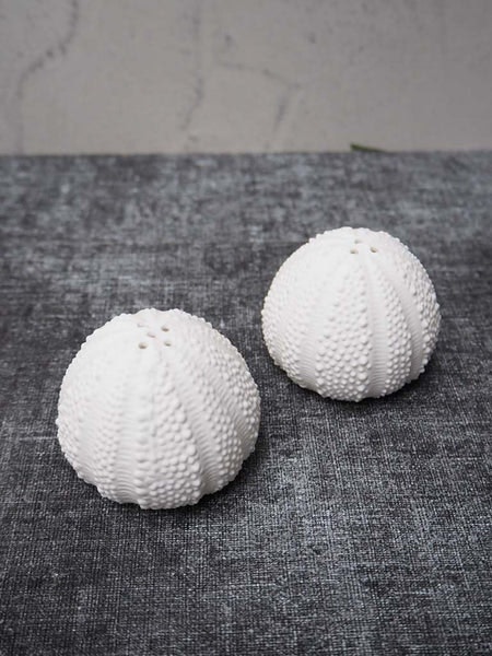 Sea Urchin Salt & Pepper Set by Distinctly Living