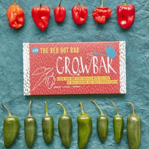 The Red Hot by Growbar