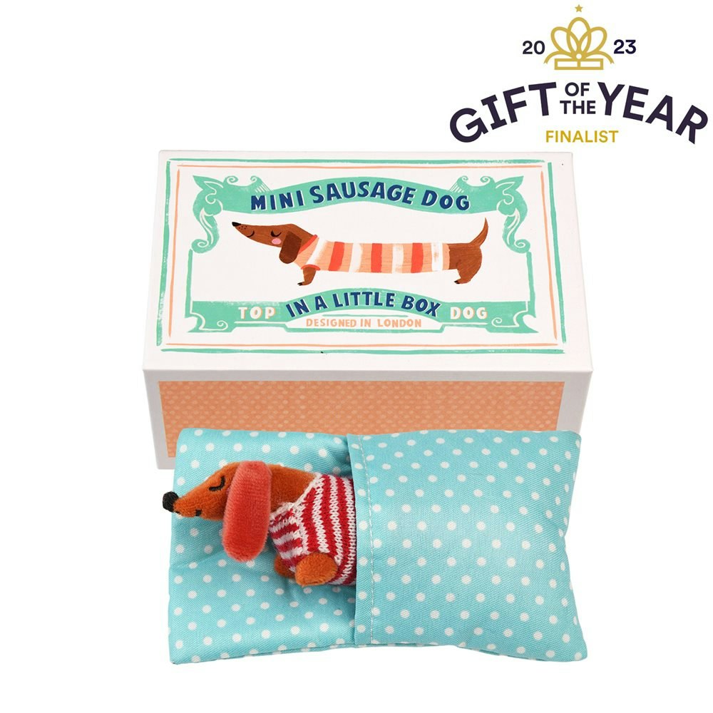 Sausage Dog in a Little Box by Rex London