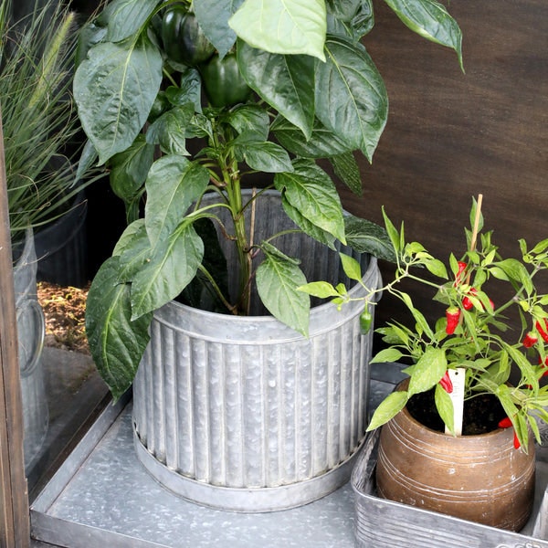 Ribbed Planter Small by Chic Antique