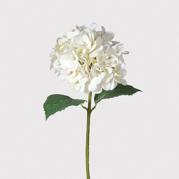 Real Feel Hydrangea White - Flowers by Distinctly Living