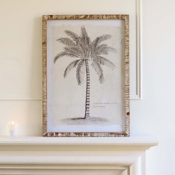 Tropical Palm - Framed Print by Distinctly Living