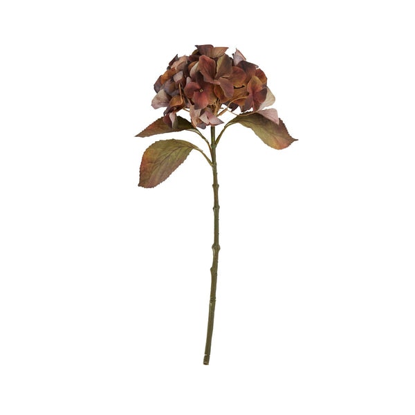 Autumn Blush Hydrangea Stem by Abigail Ahern