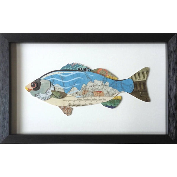 Fish Collage by Distinctly Living