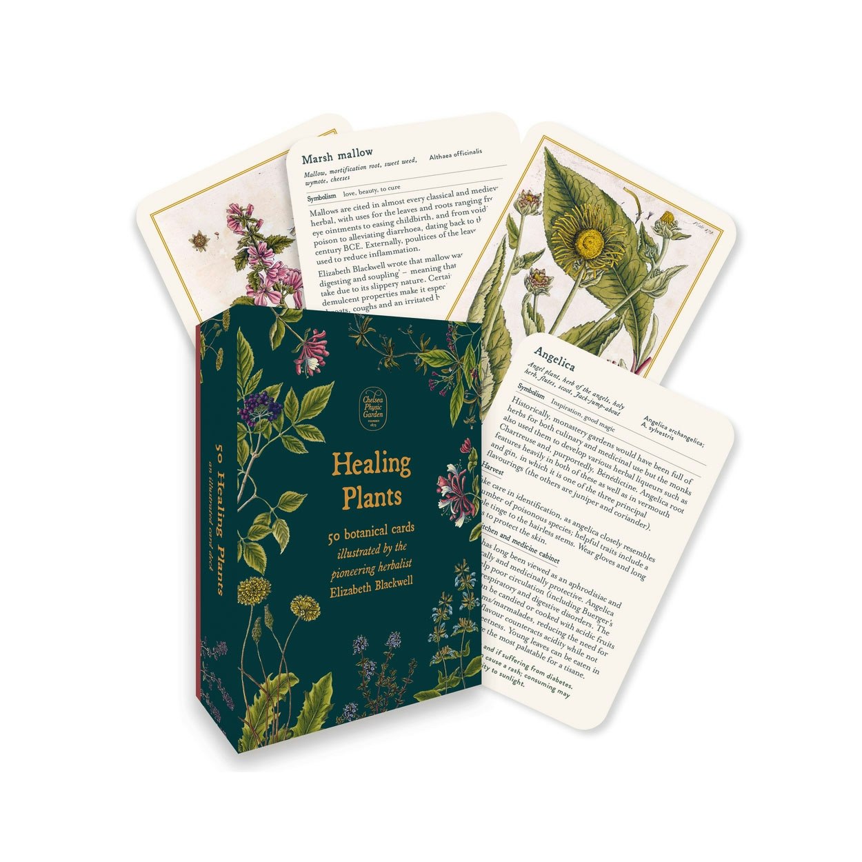 Healing Plants: 50 Botanical Cards by