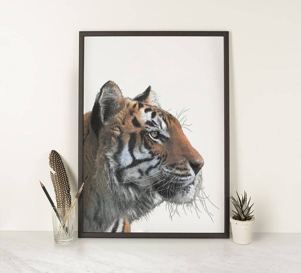 Bengal Tiger - A4 Print (portrait) By by Hidden Planet