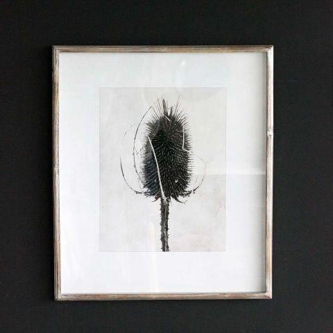 Sepia Floral Pictures - D by Distinctly Living