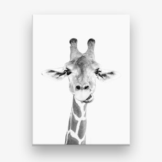 Happy Giraffe Canvas Print