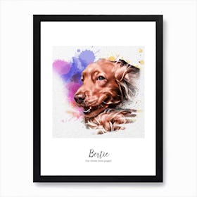 Custom Illustration, Personalised Portrait, Pets Watercolour Background Art Print