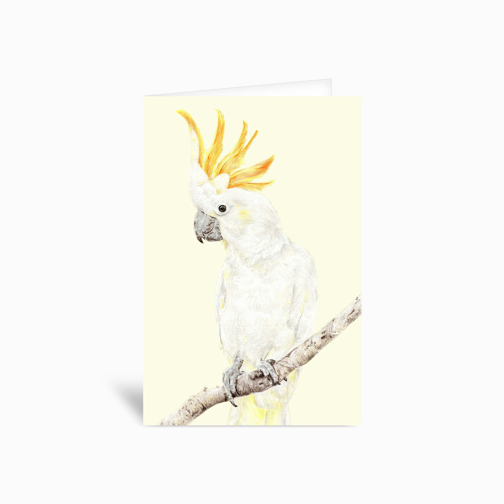 Cockatoo 4x6 Greetings Card