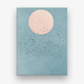 Fly Away Canvas Print